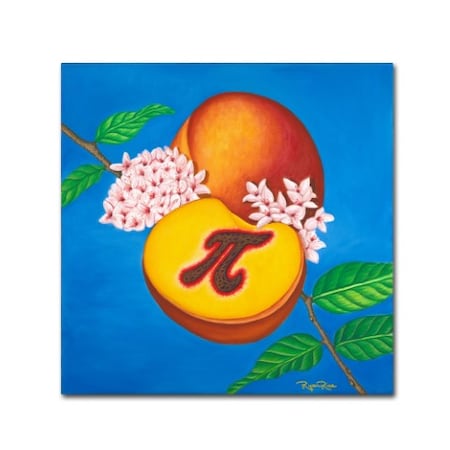 Ryan Rice Fine Art 'Peach Pi' Canvas Art,35x35